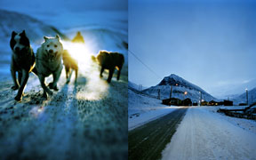 B-sidor cover shots photographed by Jonas Linell at Svalbard